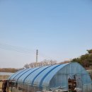 북산하우스 이미지