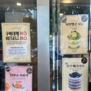 시루 | 대전 성심당 시루케익 전문점 공휴일 토요일 오픈런 블루베리시루 성공 후기
