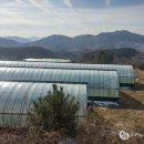 이정인농장 이미지