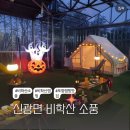 신광면/비학산 | 포항 신광면 비학산소풍 캠핑장 후기