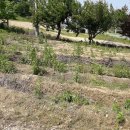 중앙탑면사무소 이미지