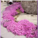 월송동주민센터 이미지