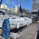 아그리나 B 이미지