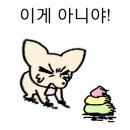 크림베이글의정부