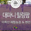 대파니힐링팜 이미지