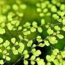 옥산초소로분교 이미지