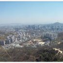 숲속의궁전 이미지