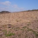 복평농장 이미지