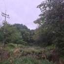 가리산자연휴양림 이미지