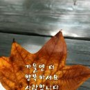 가을은 사랑의 집입니다 이미지