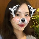 잼미브로우 네이버블로그