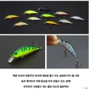 오가피싱 이미지