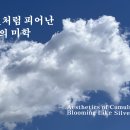 【하늘 풍경】 은빛 물결처럼 피어난 뭉게구름의 미학 이미지