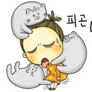 루리머리방 이미지