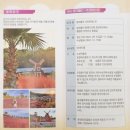 핑크파크 이미지