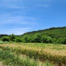 부동축사 이미지