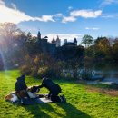 센트럴파크 11 이미지