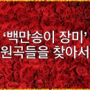 백만송이 장미/ 심수봉작사 / Raimonds Pauls 작곡 이미지