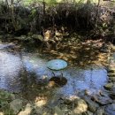 아트만하우스 이미지