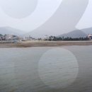 율포솔밭해변1 이미지