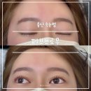 나이스브로 | 울산 속눈썹펌 페브브로우 지속력 미친 펌 연장 눈썹 잘하는 곳