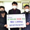 사랑손칼국수 이미지