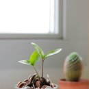 양주시여성일생활균형지원센터 | 양주·경기북부 여성 내일배움카드 교육 총정리 -지금 당장 가능