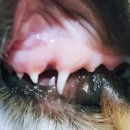 마루종합동물병원 이미지