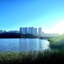 동탄호수공원 이미지