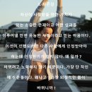 욜로킥복싱&주짓수