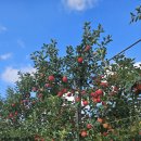 한성농원 이미지