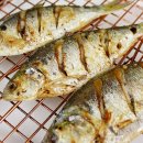 푸릇푸릇 이미지