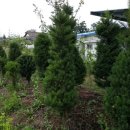 교촌농장 이미지