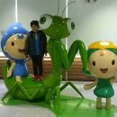 양평곤충박물관 이미지