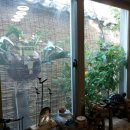 경상도추어탕 이미지