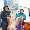 문어민박 이미지