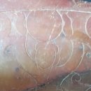 부여(홍산)-12 이미지