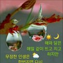 아랑고고 이미지