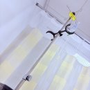 응급실갔다가 입원까지 급성 췌장염 입원 후기(순천향대학병원)
