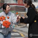 한국여성의전화 이미지