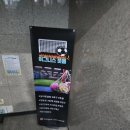 이그니스풋볼 이미지