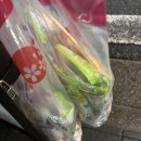 후쿠오카 2탄 및 서울 재방문기