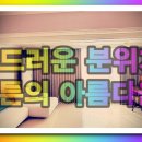 서사장의 잠재력 | 잠실커튼, 신천역커튼 찾다가 만난 씨엔비커튼블라인드 방문 후기