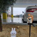 이레펜션B 이미지