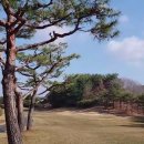 동순천 서비스 티스토리