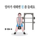 당진Y복싱클럽 송악점 이미지