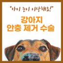 도촌동물병원 이미지
