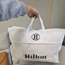 주식회사 구름 | 힐튼 몽글이 구름 밍크 이불겸용 담요 | 추운겨울 쇼파 담요로 안성맞춤!!