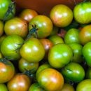 별더농장 이미지