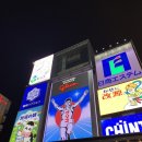 원더트립 | 도톤보리 원더크루즈 솔직후기 / 주유패스, 조이패스로 사용하는 법